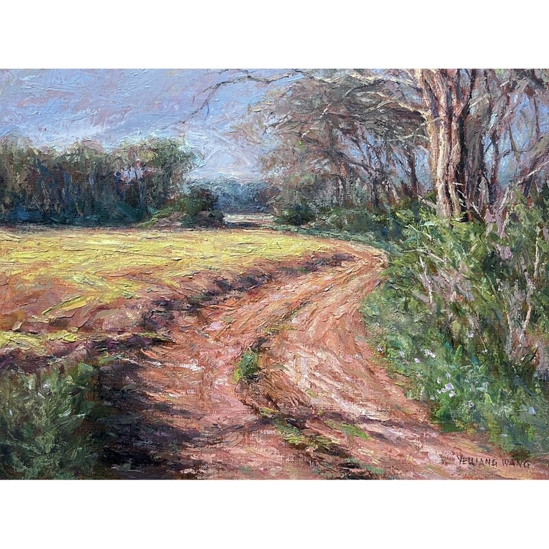 ​Country Road in the Morning