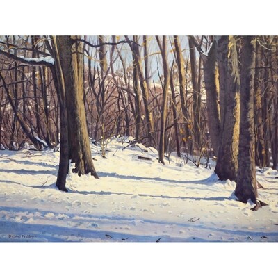 Snowy Afternoon by Daniel Fishback