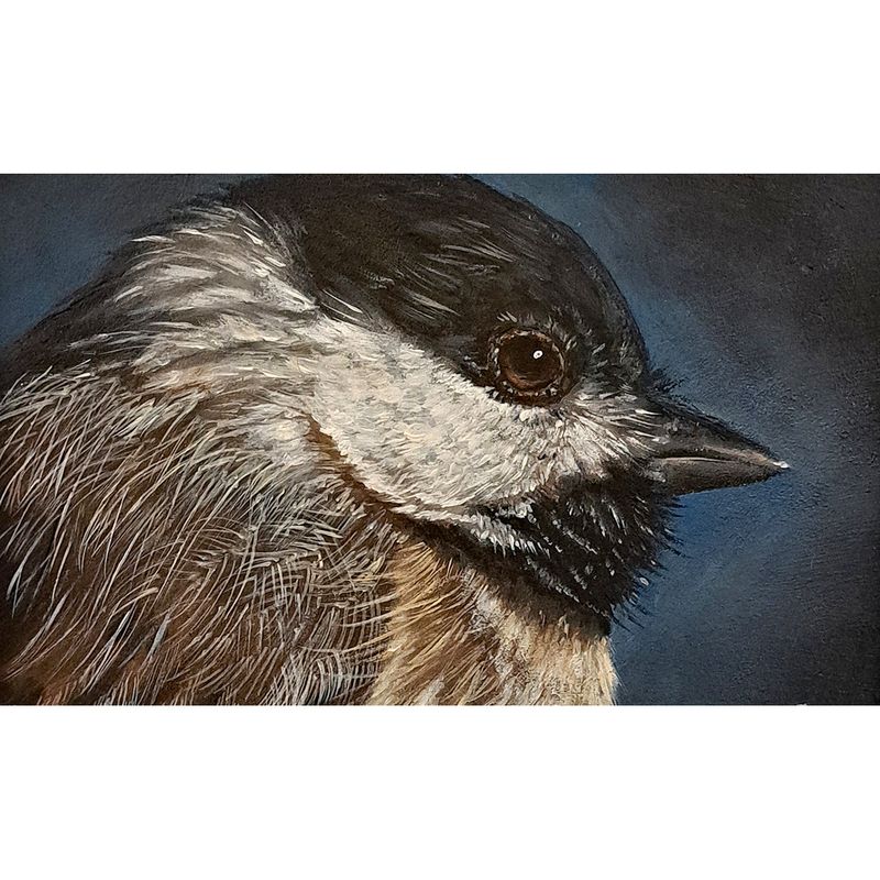 Chickadee