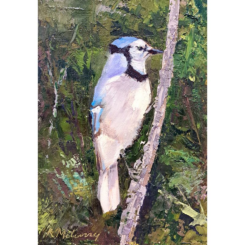 Blue Jay on a Limb