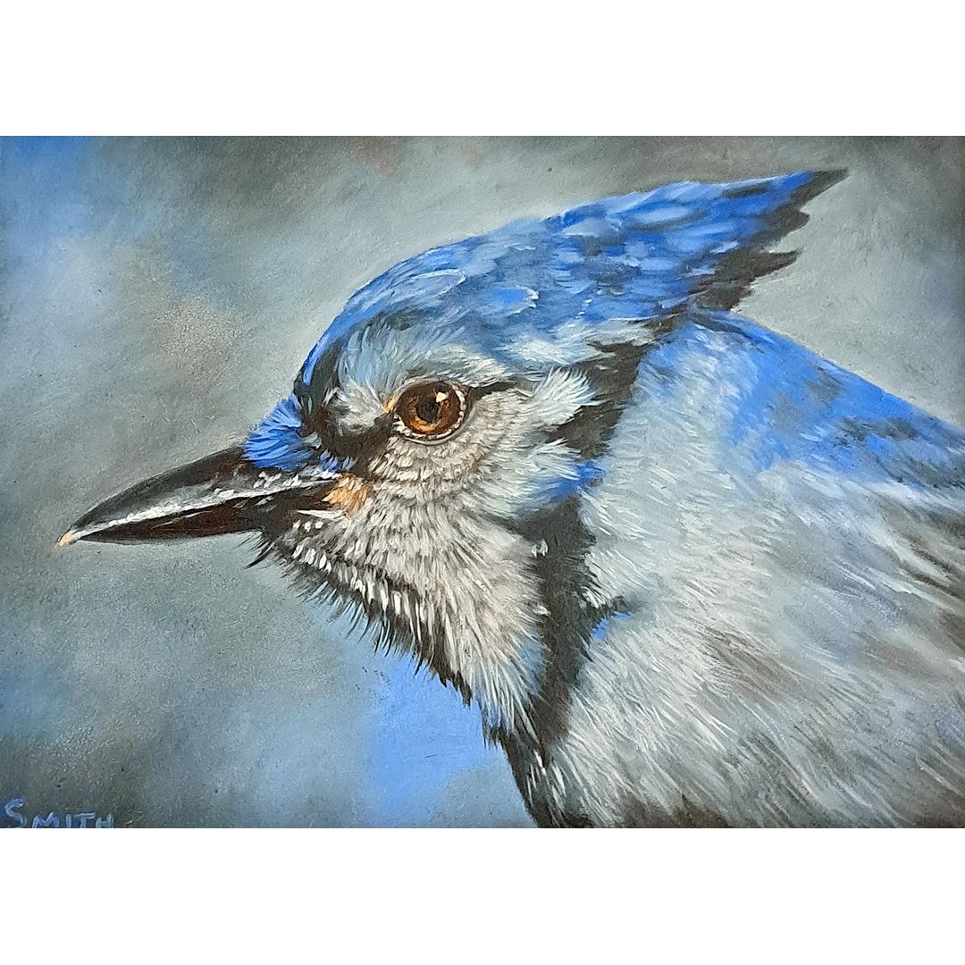 ​All The Blues