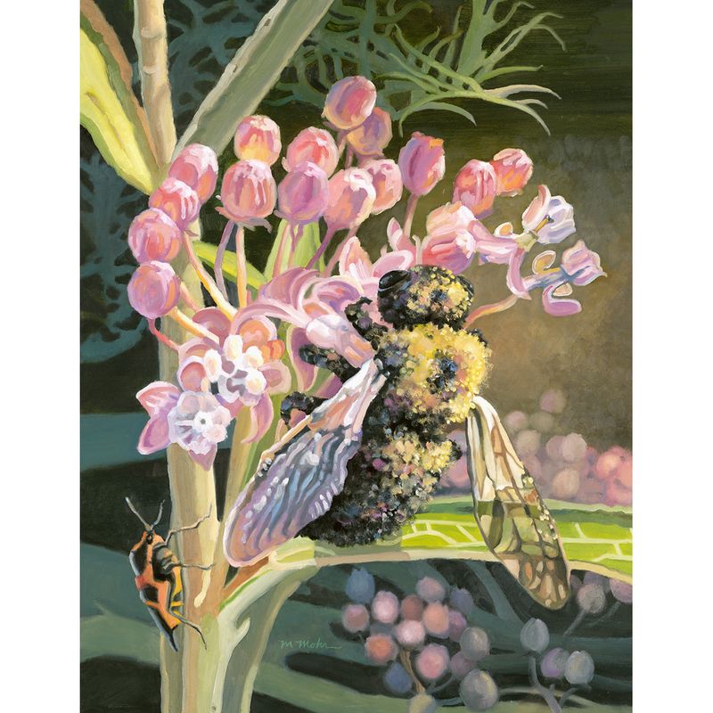 ​Bee Pollinator