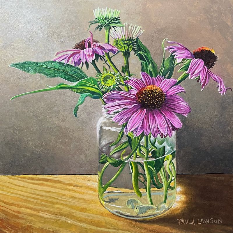Purple Cone Flowers