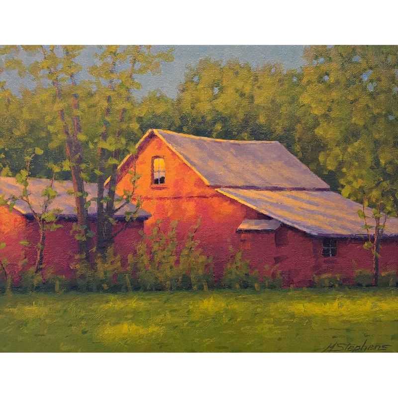 Evening Light