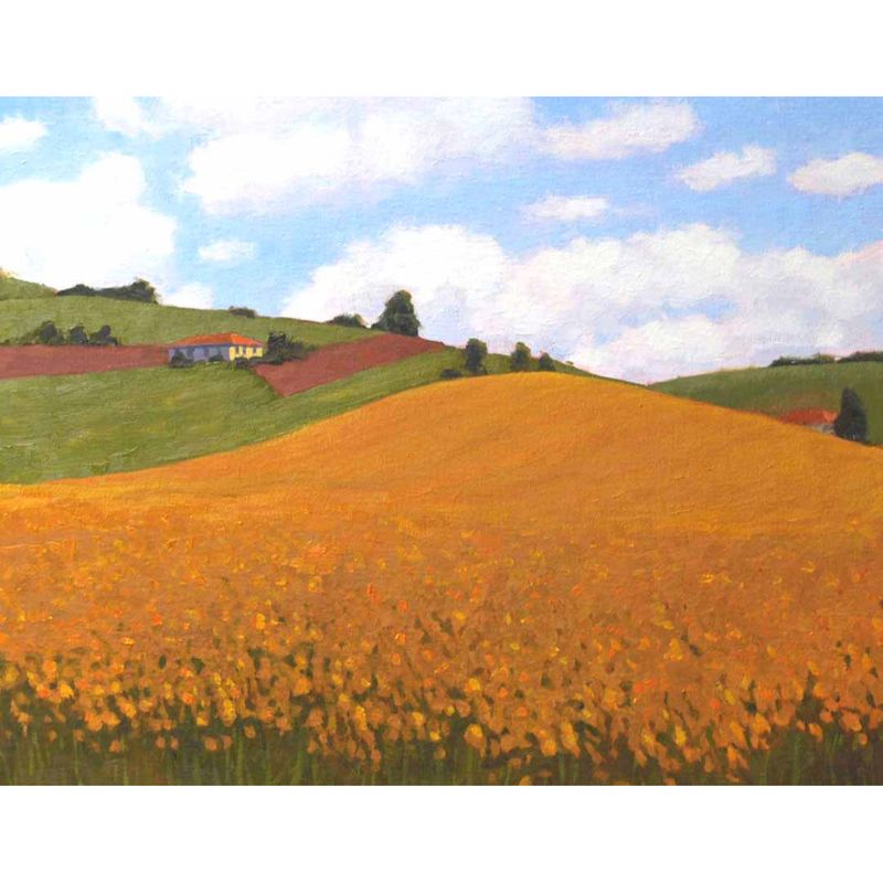 ​Field in Bloom