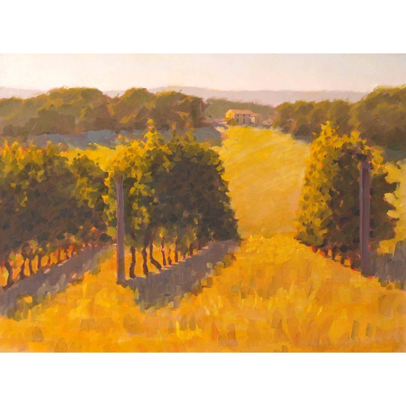 ​West Coast Vineyard in September