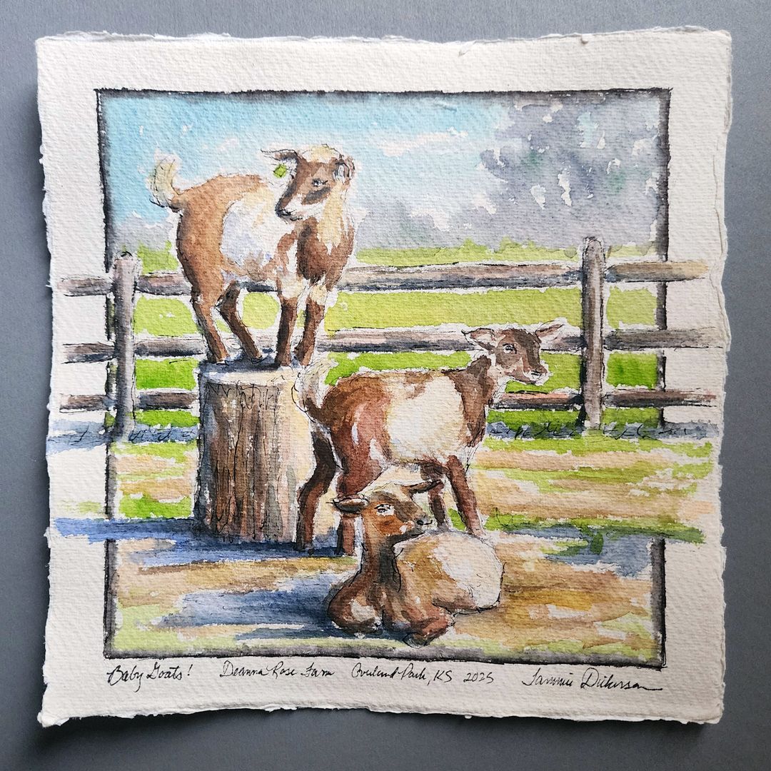 Baby Goats