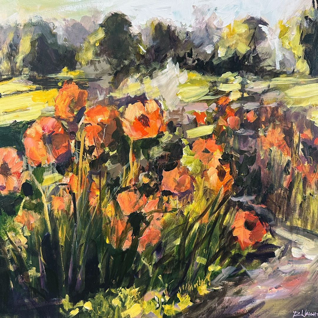 Arboretum Poppies