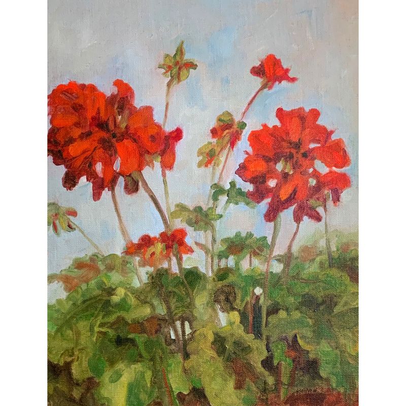 Geraniums in Red