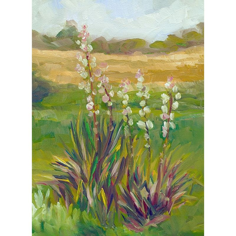 Yucca