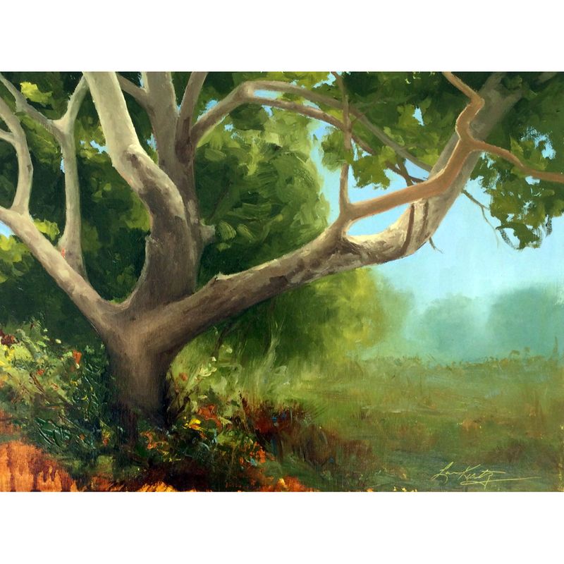 Zacchaeuss Tree