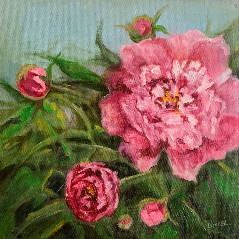 Spring Peonies