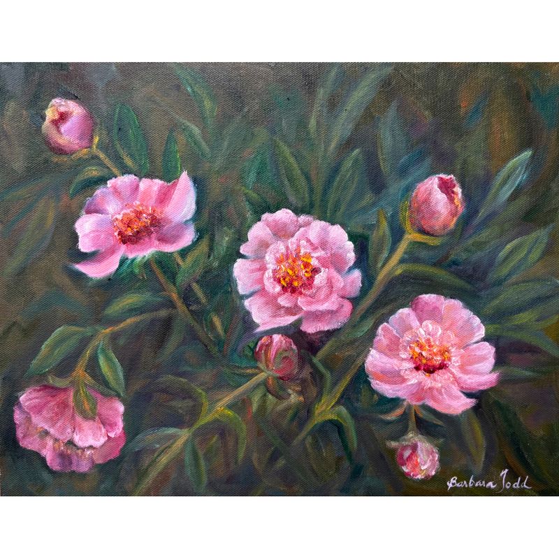 Peonies in May