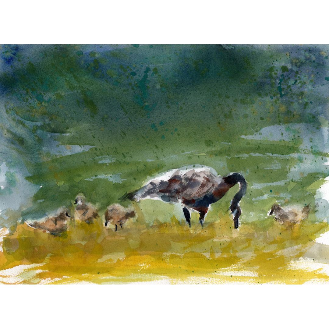 Brood
