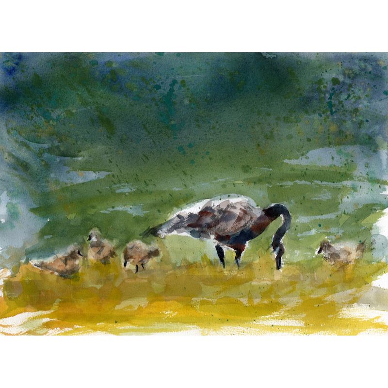 Brood