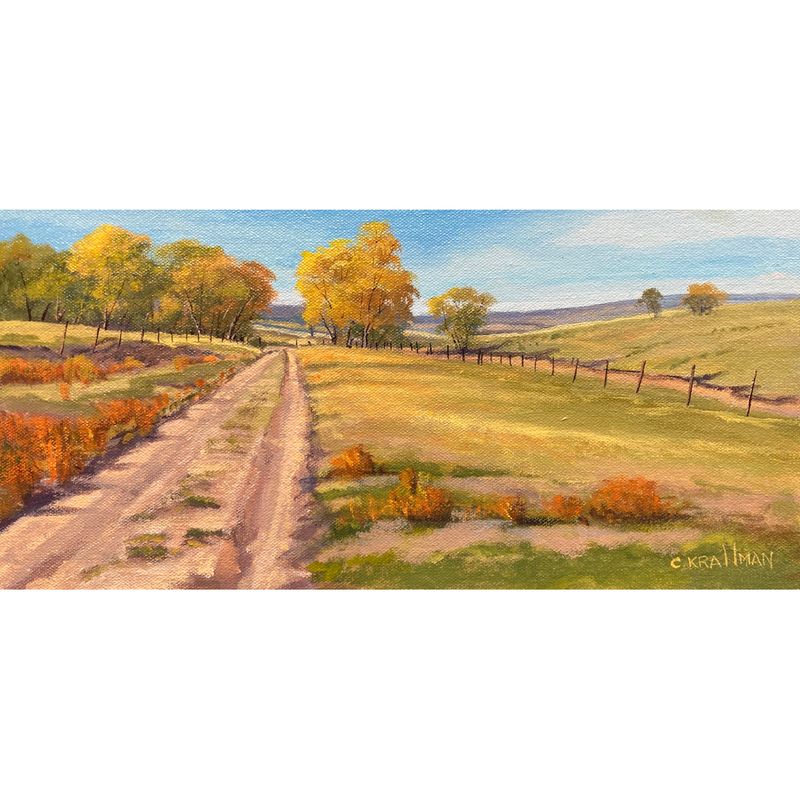 ​Side Road in Cheyenne Co.
