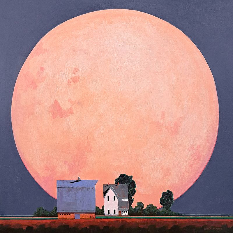 ​Pink Moon