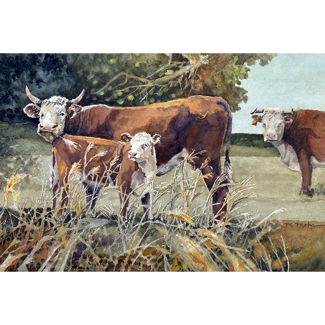 ​Hereford and Calf