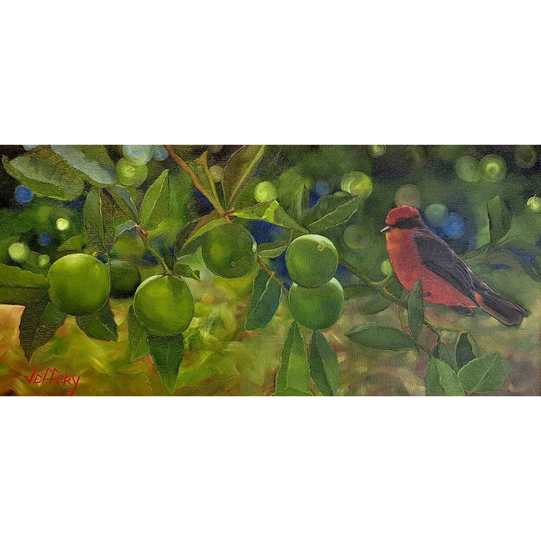 ​Flycatcher in Lime Tree