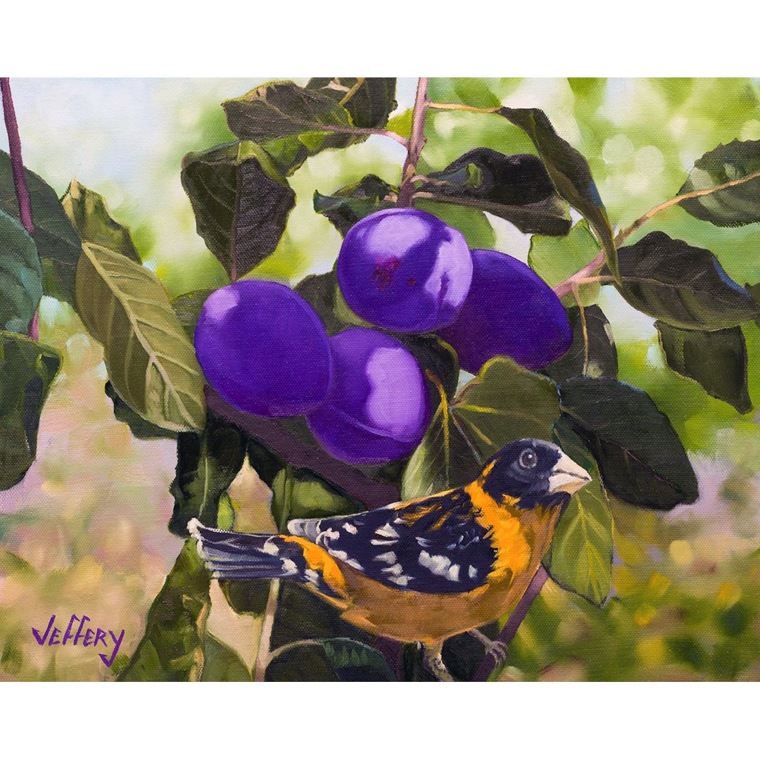 ​Grosbeak in Plum Tree