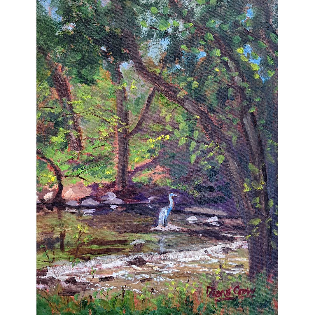 Indian Creek at Corporate Woods by Diana Crow