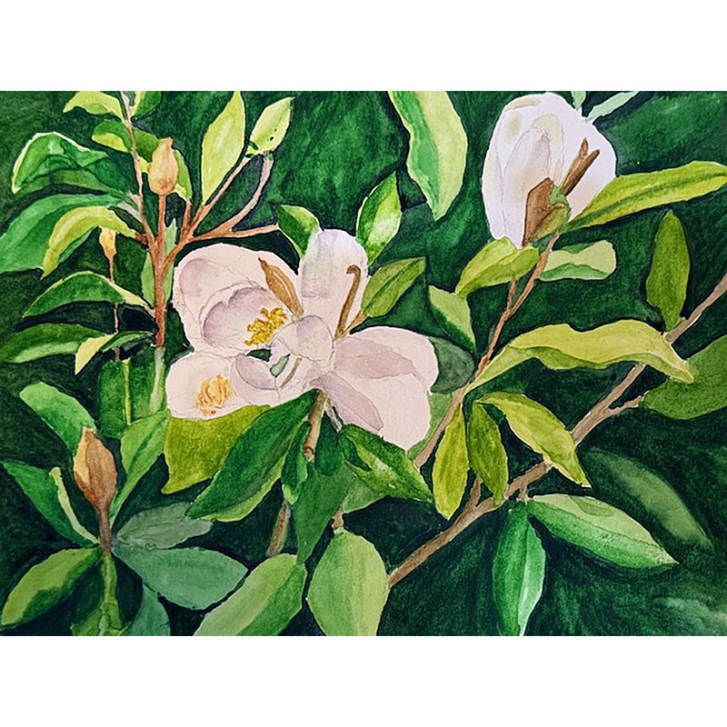 The Essence of Magnolia by Jean Jansen
