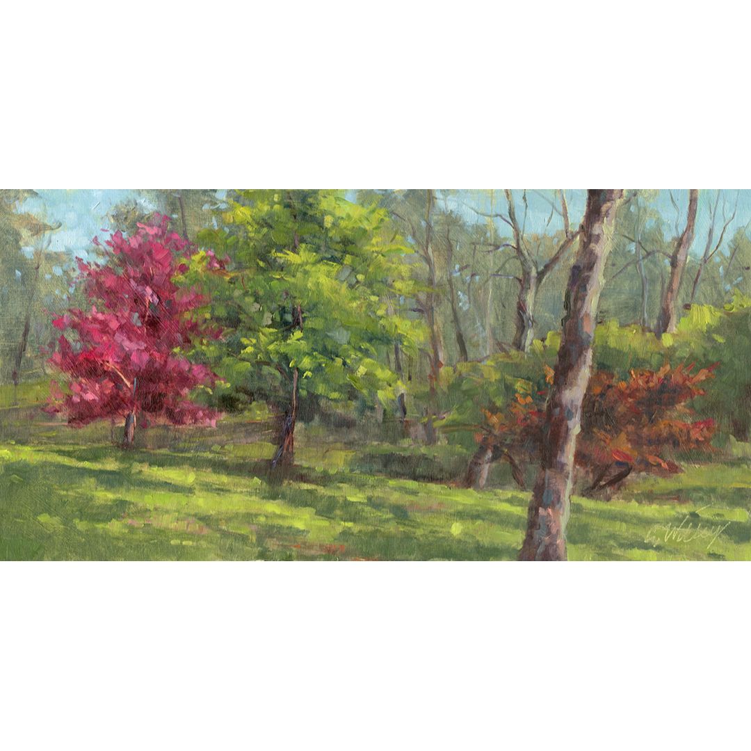 May 11 - Hot Pink Tree by Chris Willey