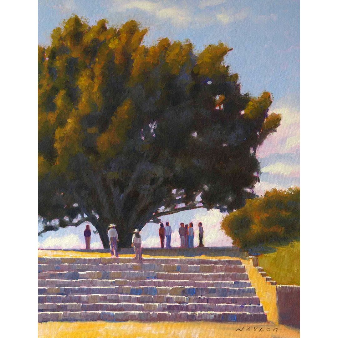 Shade Tree