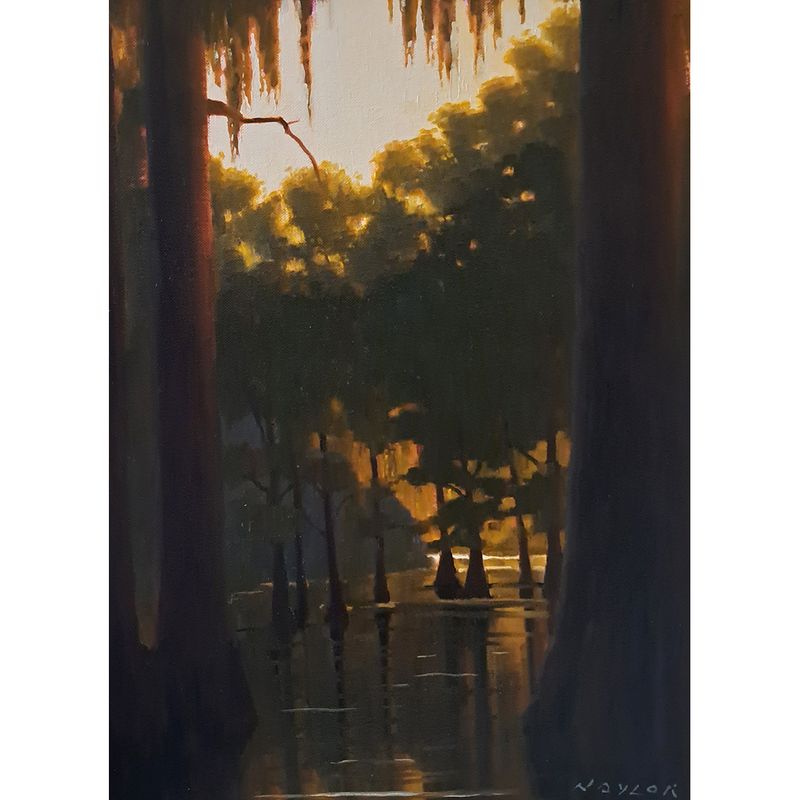 ​Cypress Dawn