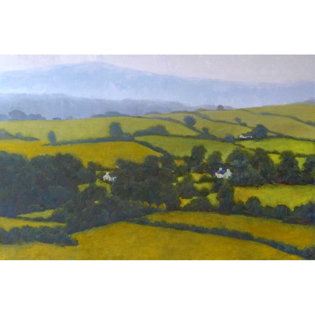An Irish Pattern