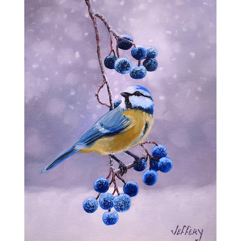 ​Blue Tit