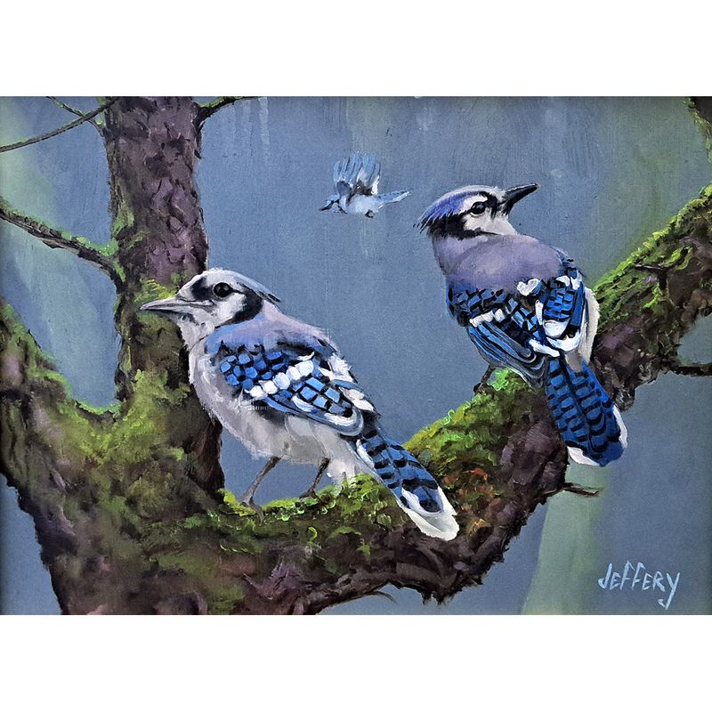​Blue Jays in the Forest