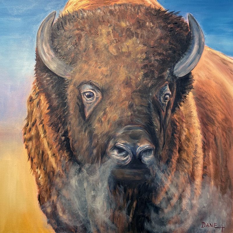 ​Bison Portrait