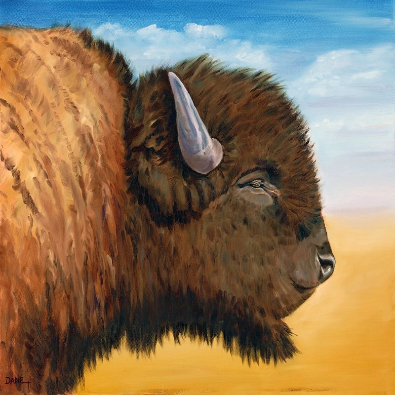 ​Bison Profile