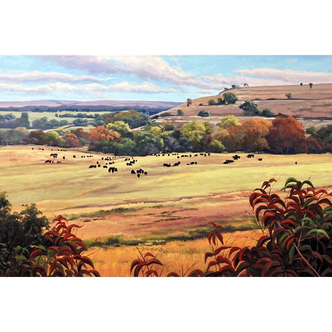 Distant Grazers
