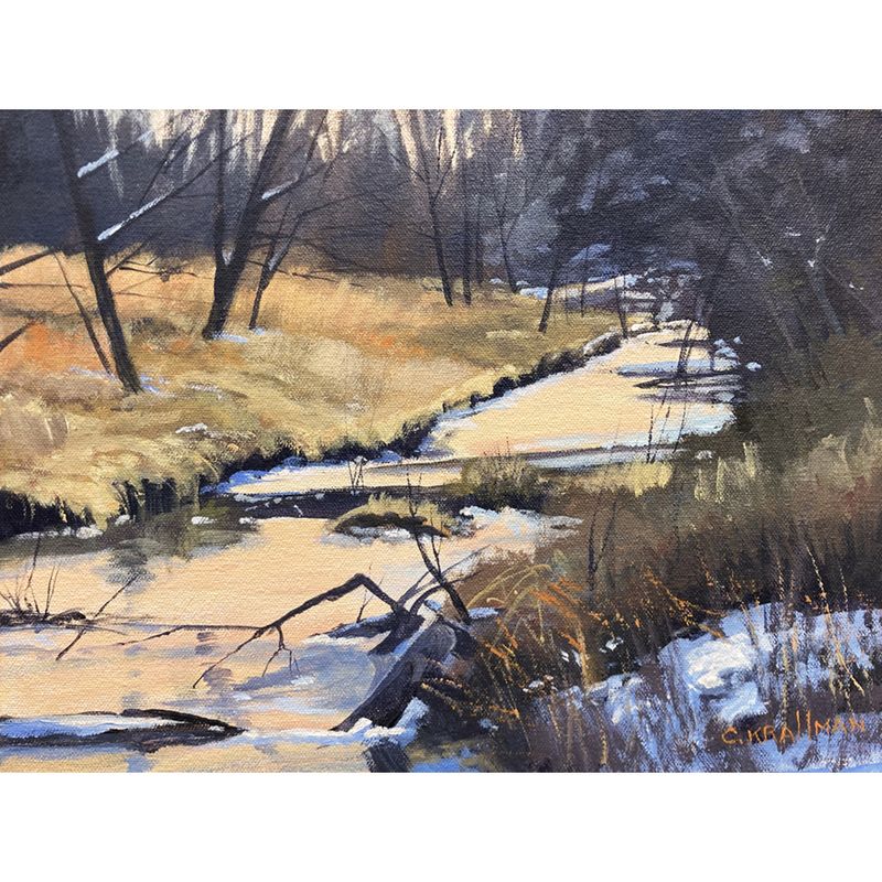 ​Snokomo Creek Study - Winter