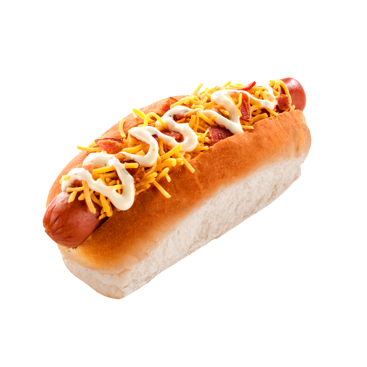 PERRO SENCILLO