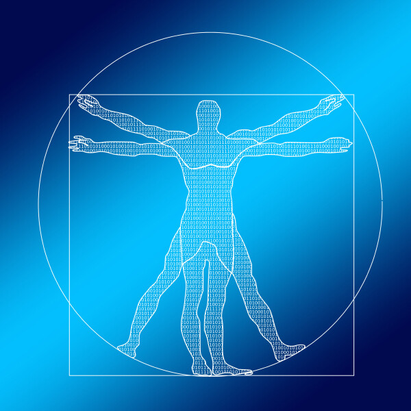 Anatomia e Fisiologia