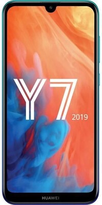 Y7 2019