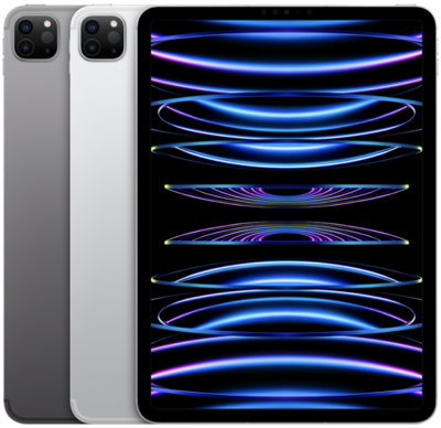 iPad Pro 11 pouces 4ème génération (A2759)