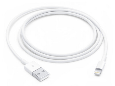 CÂBLE USB-A / LIGHTNING Apple 1 mètre Original