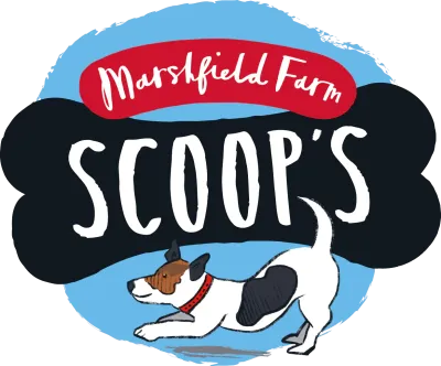 Marshfield Farm Scoop's Ice Cream for Dogs