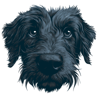 Wilsons Frozen Raw Dog Food