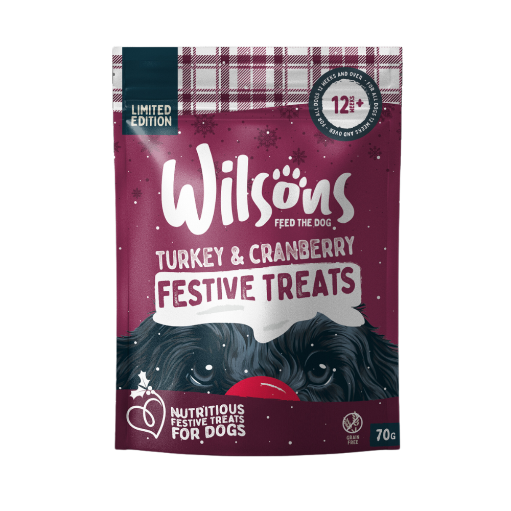 Wilsons Turkey & Cranberry Festive Treats - 70g