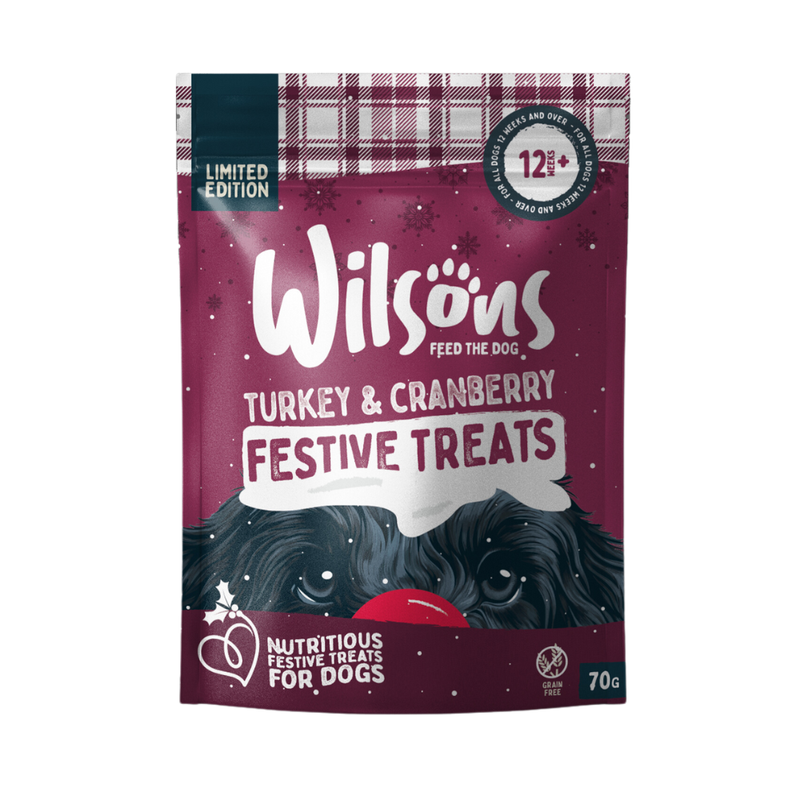 Wilsons Turkey & Cranberry Festive Treats - 70g