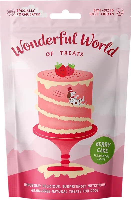 Wonderful World Of Treats - Berry Cake