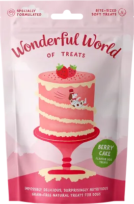 Wonderful World Of Treats - Berry Cake