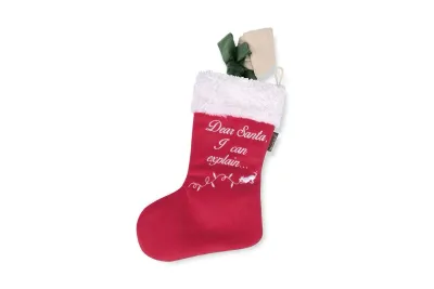 Merry Woofmas Good Boy Stocking & Bone