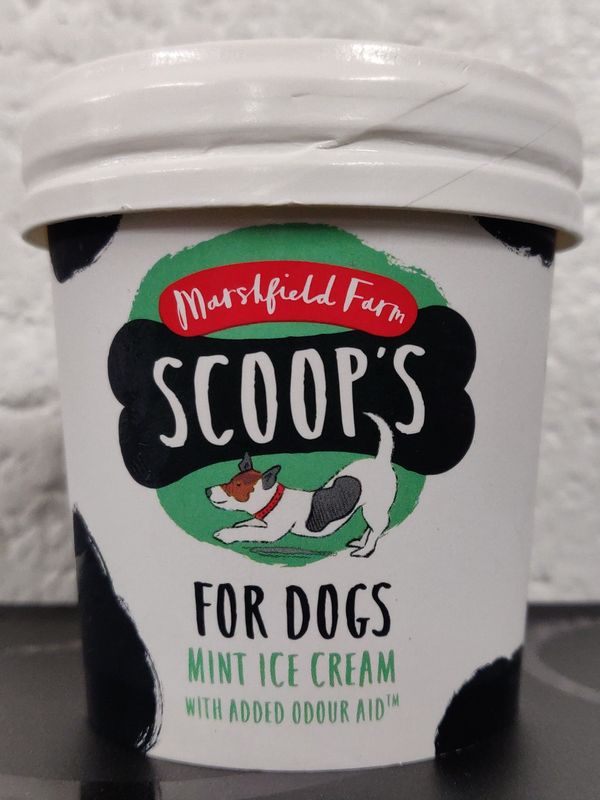 Scoop's Ice Cream for Dogs - Mint - 125ml