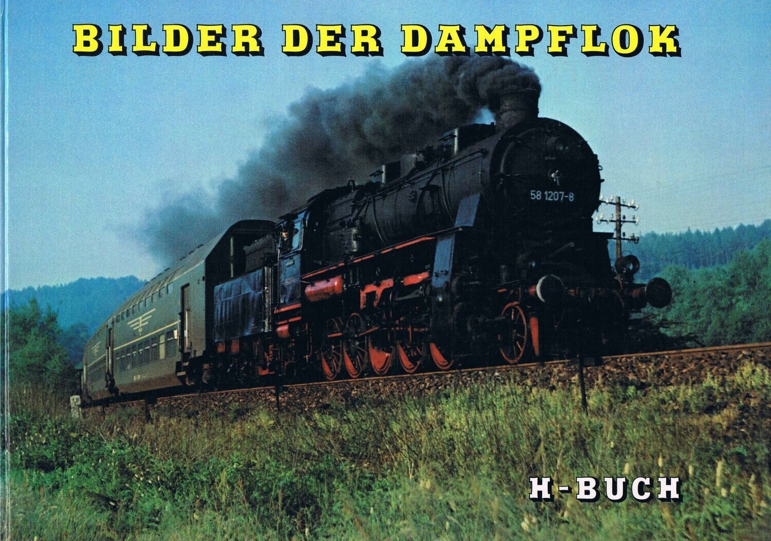Bilder der Dampflok